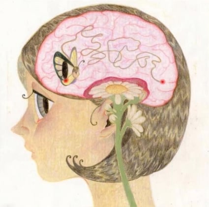 o fim último da vida