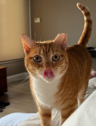 Try Things and Fight - No Not That!