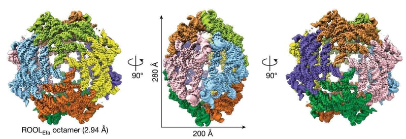 RNA Nanocages Breakthrough: ROOL Is Nature's RNA Origami!
