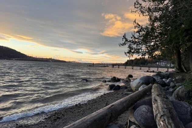 Who is evaluating the potentially harmful impacts of dredging Burrard Inlet?