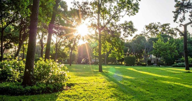 Non-Toxic Dad News: November 06, 2025