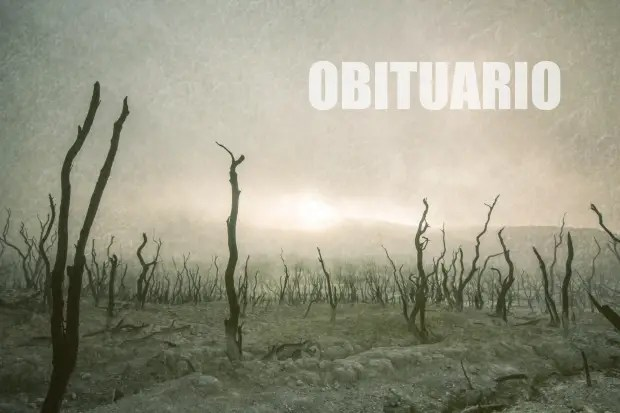 Diccionario de periodismo digital: «Obituario»