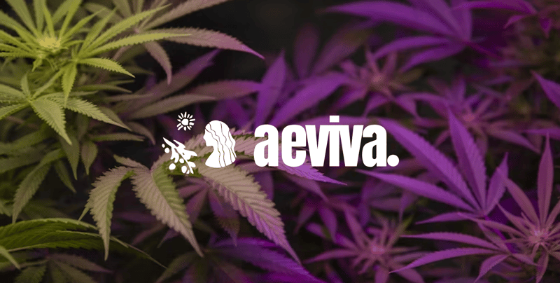 Honest Cannabis Health Benefits&Risks as Legalization Spreads Worldwide