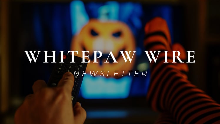 The Scariest Thing in Streaming Right Now (Hint: It’s Not the Content)