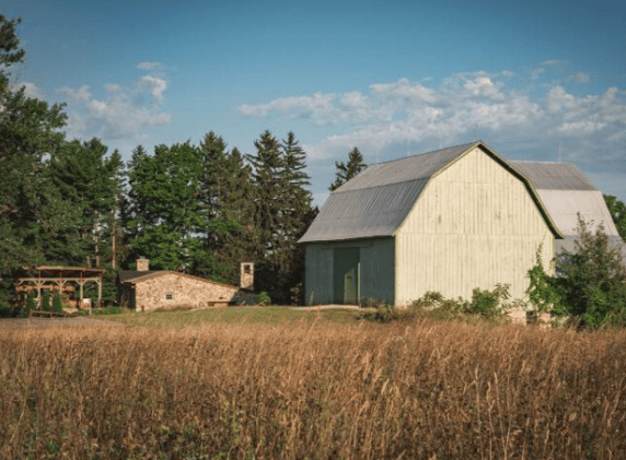 Rural ambition: Elevating Michigan's wine and agricultural future // Champagne restricts yields to lowest level since Covid