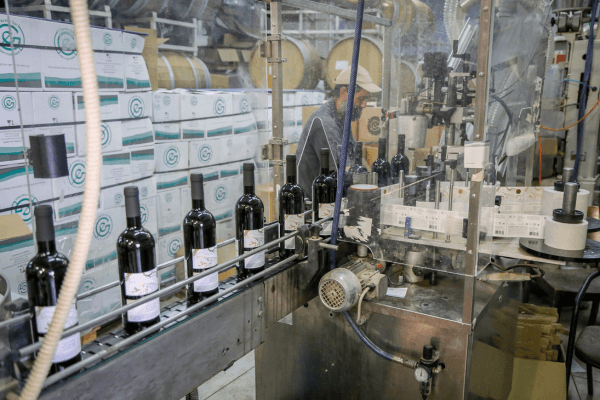 Grandson Turns Tragedy into Tribute, Reviving Winery After Oct. 7