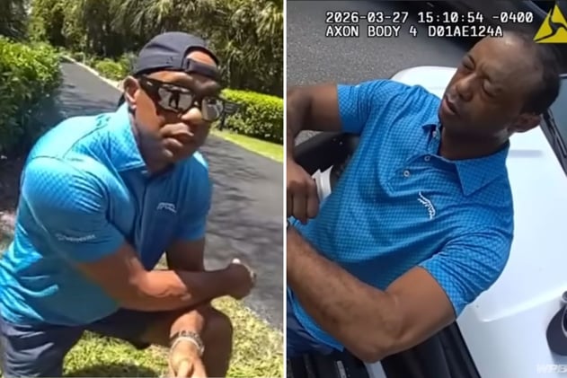 Bodycam Video Sheds New Light on Tiger Incident - LITE