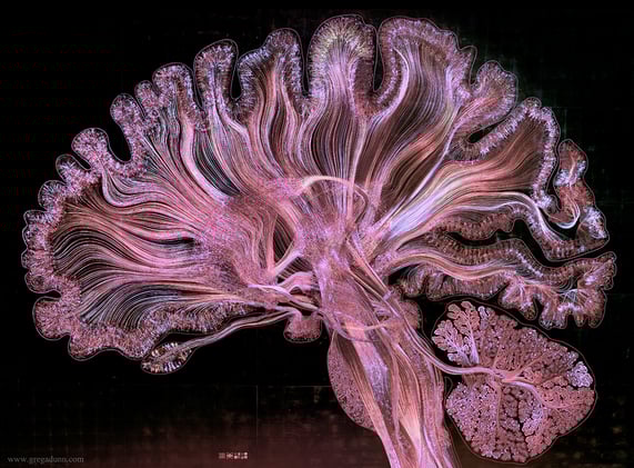 Neuralink og  Menneskehetens eneste Håp 