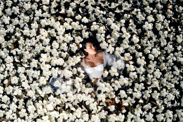 Finding Light When Shadows Fall