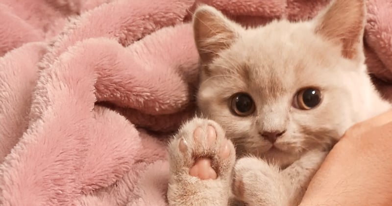 Me and my beans