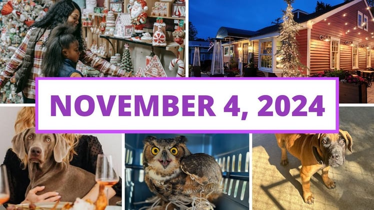 Small business news, a local holiday expo & more!