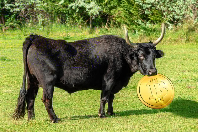 How To Value Bitcoin