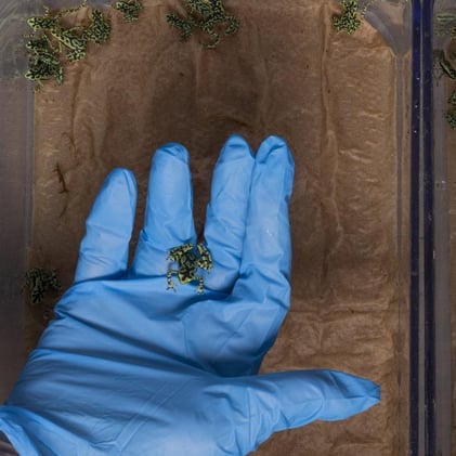 Exponen en ONU violencia sexual contra presos electorales 🤕