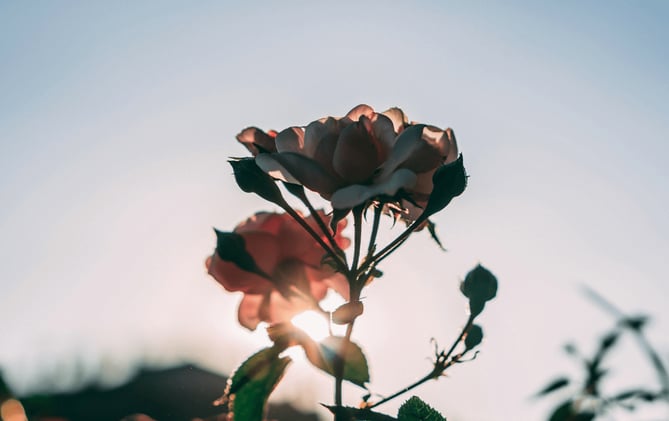 When Loved Ones Walk Away from Faith