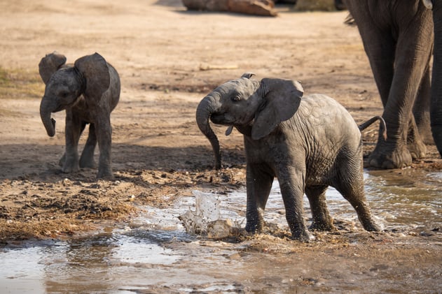 This Weekend in Wichita: 12/24/25