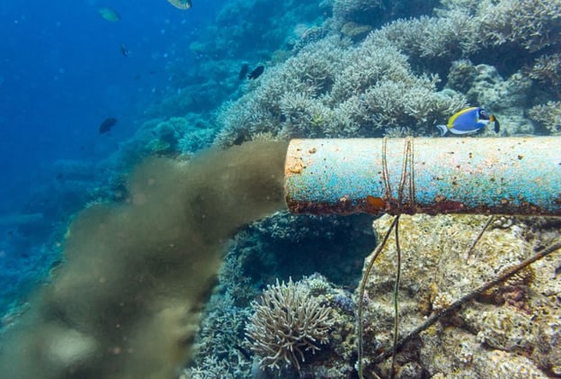  PFAS + Microplastics Create Reproductive Crisis: Latest Research