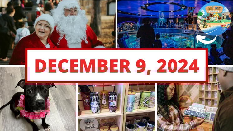 Holiday fun, a new creative shop opens & more!