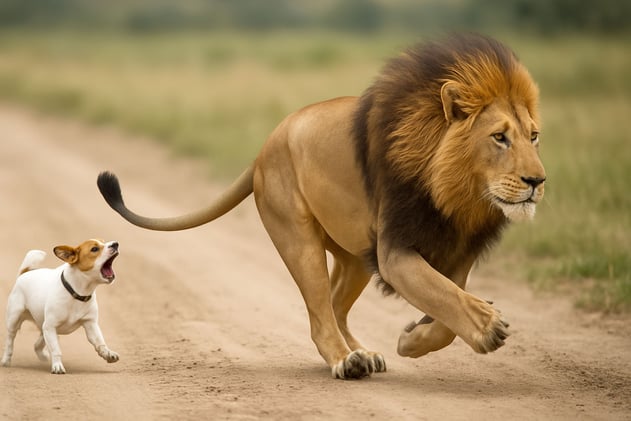 Without Courage, Morality Collapses