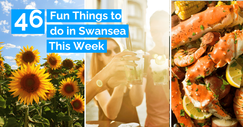 Rhossili Sunflowers, Dog Show, Assembly Bangers, Stitch Party, Food Fest Giveaway