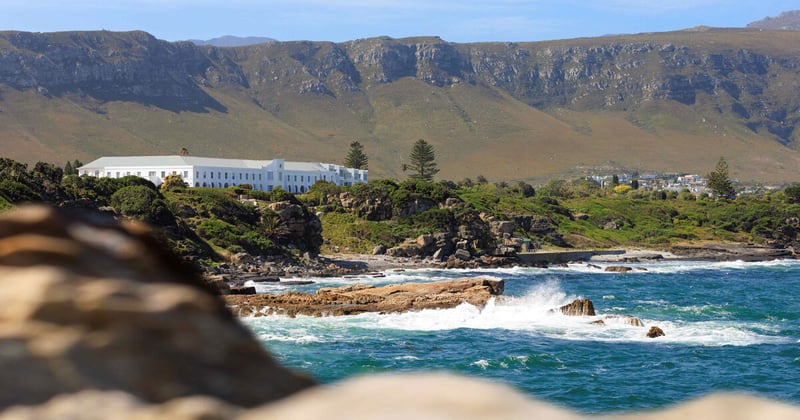 🌼 The Marine Leads the Way into a Bloom-Filled and Festival-Ready Week