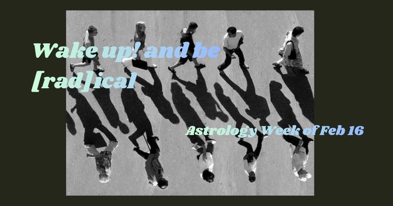 Week of February 16th