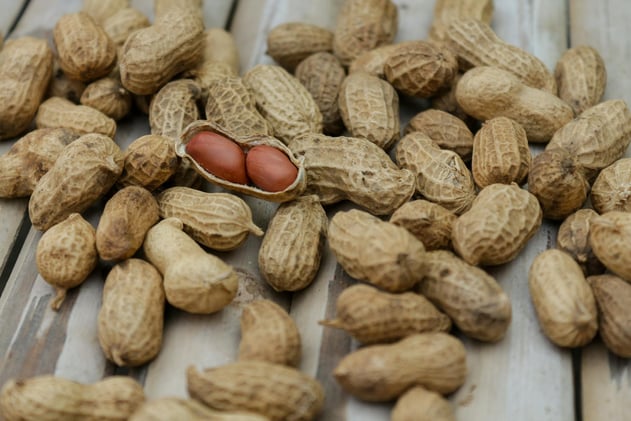 The Rise and Fall of Peanut Allergies