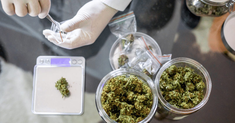 Elevating the Consumer Experience