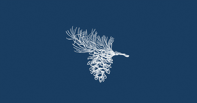 MSKTH Monthly: November