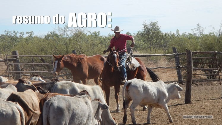 Mercado do boi esvaziado