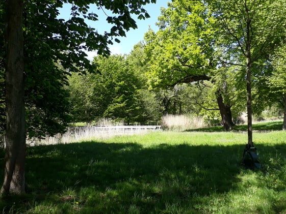 You can be infinitely motivated - and here's how