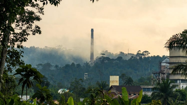 Big Money, No Ban: COP30 Sidesteps Fossil Fuel Fight, Pledges Billions Instead