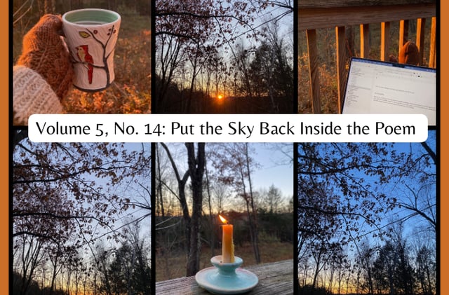 Volume 5, No. 14: Put the Sky Back Inside the Poem