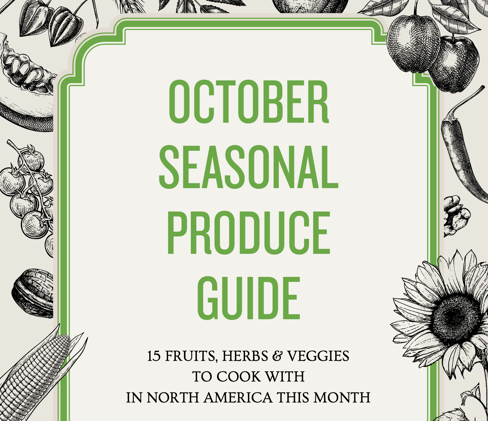 ⭐️ ECL Members September Wrap
