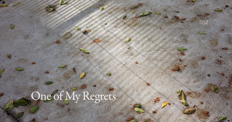 ◉ 052 | One of My Regrets