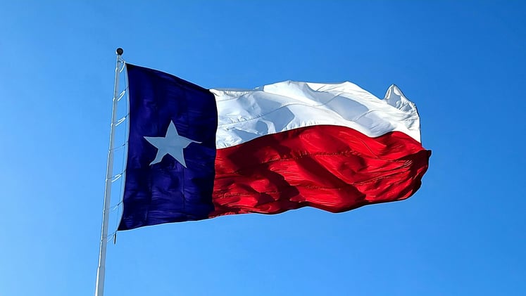 Texas Bought the Dip, Did You?