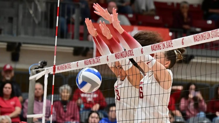 Wazzu Brew 10/10: Six Pack of Ws