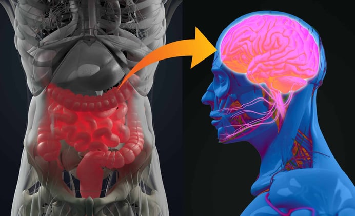 Anxiety & Gut Dysfunction: The Hidden Connection Big Pharma Ignores