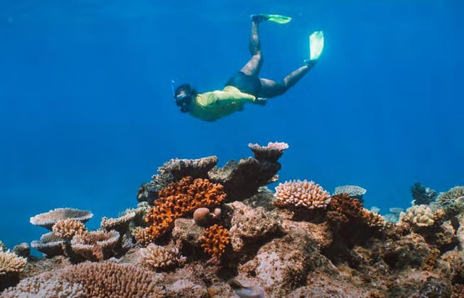 Newsport Alert Monday 17 November 2025