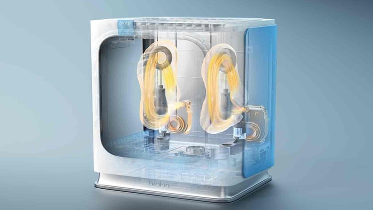 Sunday Special: Mushrooms and "mini-earthquakes" 