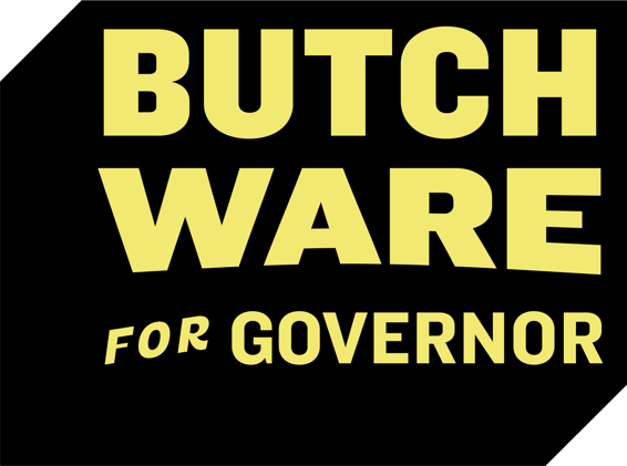 California deserves more than a billionaire savior fantasy