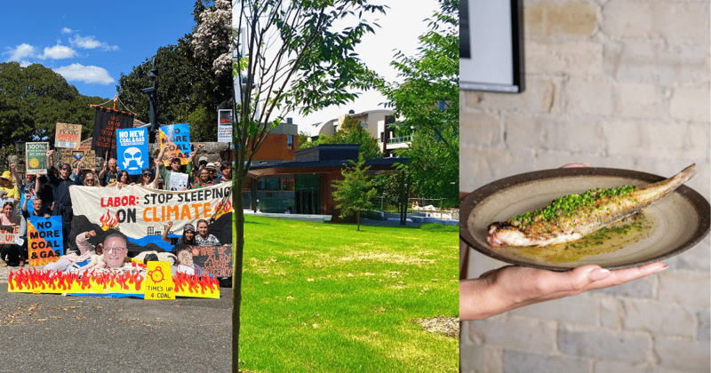 September Newsletter #7: 🔵 It's getting hot in here