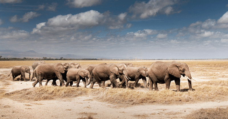 We’ve created a list of major conservation events this year