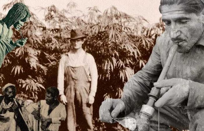 The History of Cannabis: From Ancient Times to Today