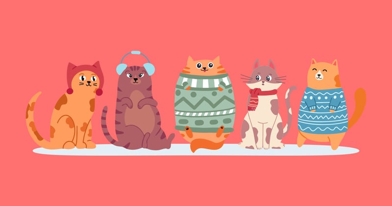 The Purrfect Day