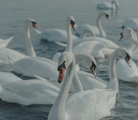 Do You Crave To Find Your 'People'?