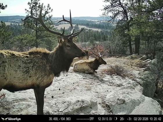🤠 March Madness In DougCo