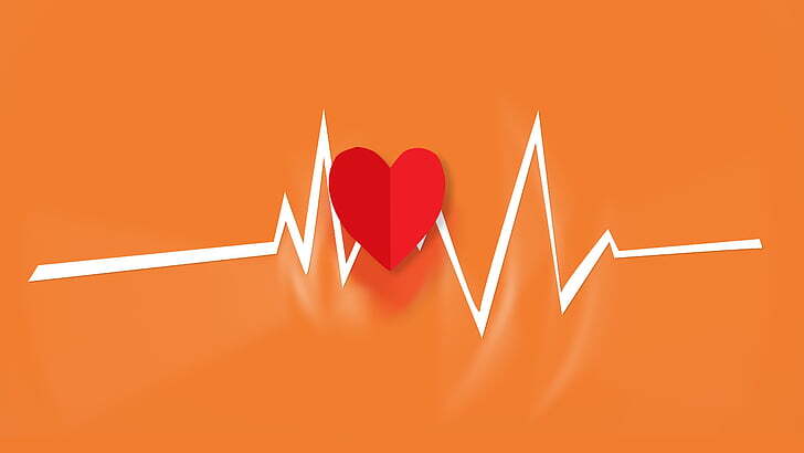 Understanding the Heartbeat of Projects