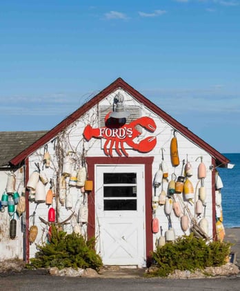 🦞 A $45,000 crustacean | Bulletin #132