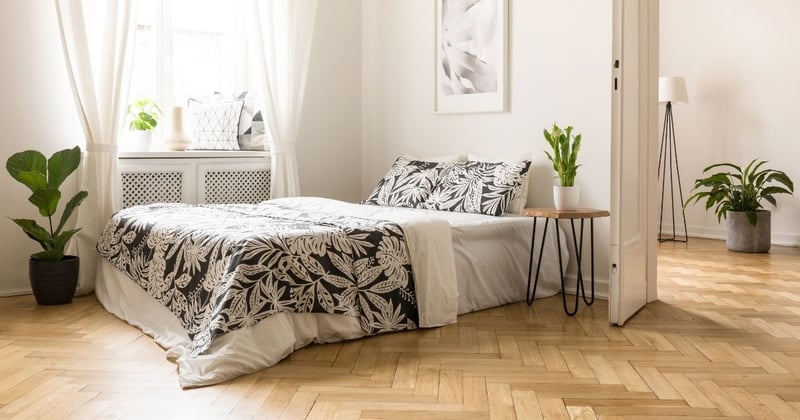 Non-Toxic Dad News: January 15, 2026 