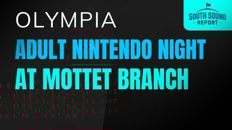 🎮 Adult Nintendo Night at the Mottet Branch — Olympia